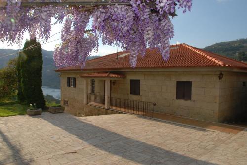 Casa no Douro - Quinta de Pias